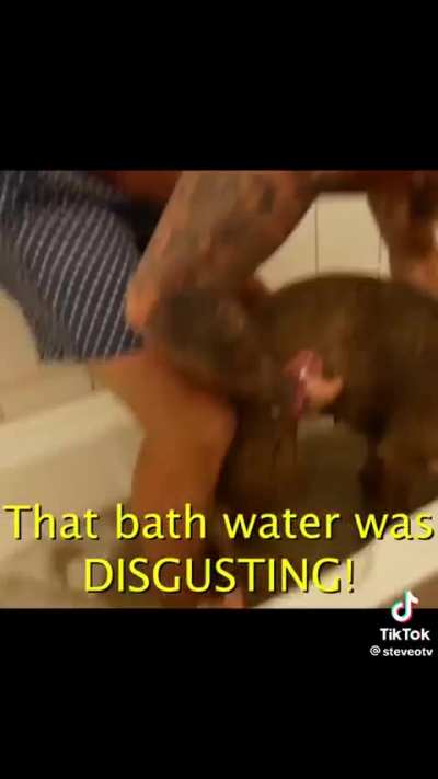 Watching Steve-O sober up is the greatest thing