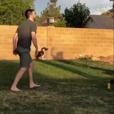 Someone wants friends to play with too...