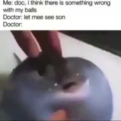 testicular torsion