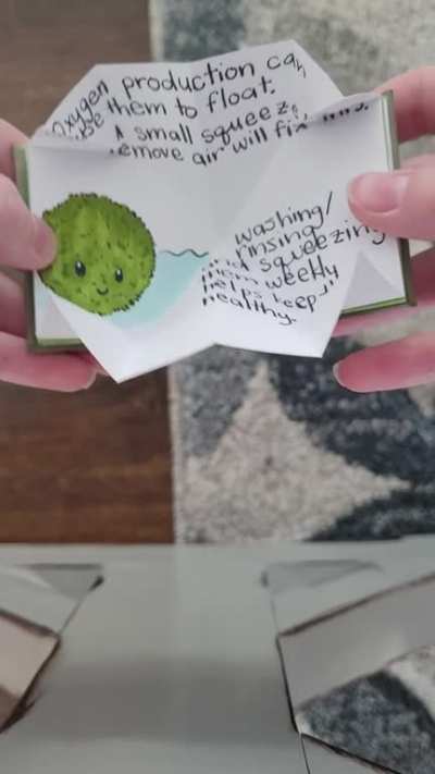 Small book I made to go with the moss balls I gave my friend for Christmas