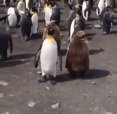 🐧 когда ты кажется уже не пездюк, но зачем-то идёшь по улице вместе с мамой 🐧
