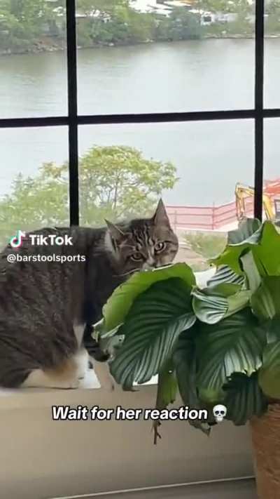 Don&rsquo;t eat my plants
