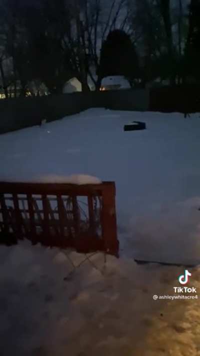 "When your dog won't come in the house, you get creative."
