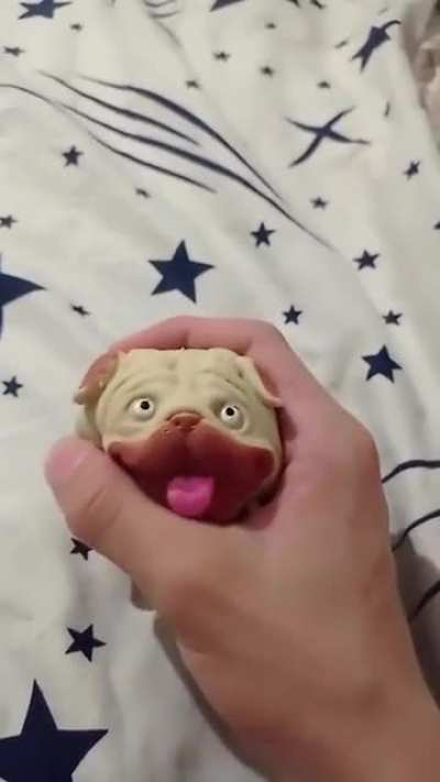 😂🗿
