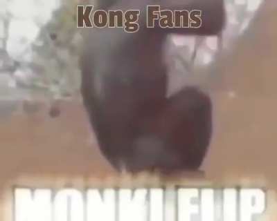 Big Monkee