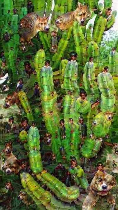 This Cactus Can Posses You @rodrigoperezestrada