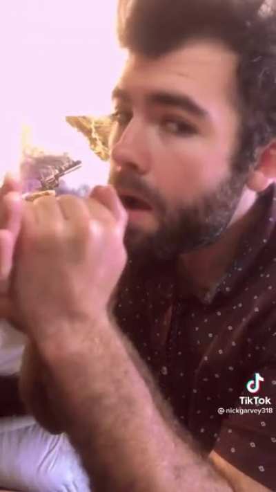 Birdcall tutorial