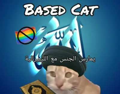 Idk if this is a repost, but can someone tell me the name of the nasheed on the cat