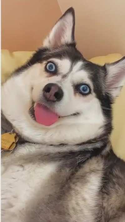 He&rsquo;s just installing an update