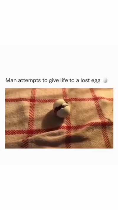 This guy helped a lost egg to hatch&hellip;