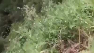 HMFT after using a dirt bike race track next to a cliff