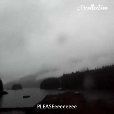 to stop a bear from ruining the kayak (she bearly stopped it ba-dump-tss)