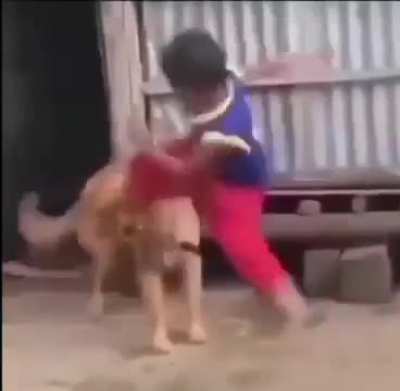 Perro estratega