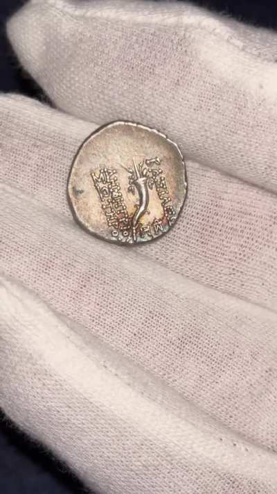 Two Seleucid Soters