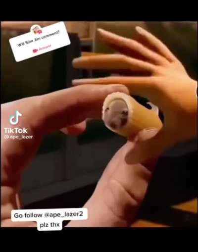 nom