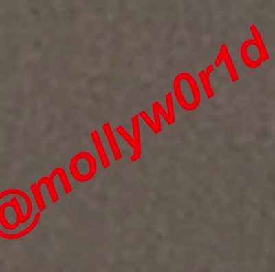 New carti snippet