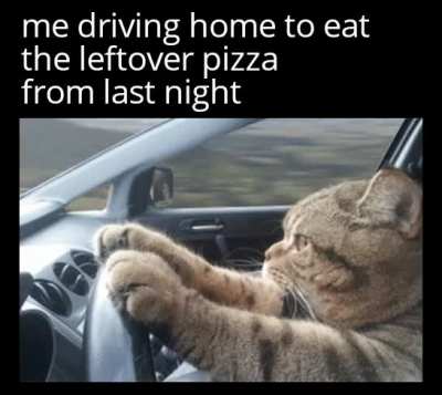 Me likey pizza