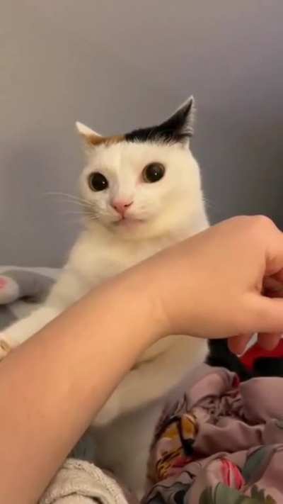 blursed_life questioning