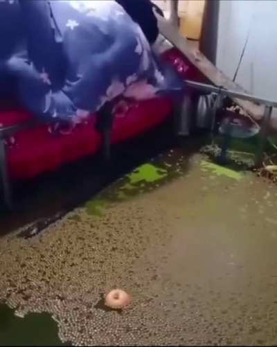 cursed_room