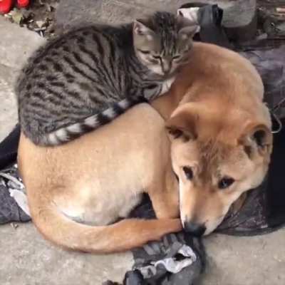 The safest spot