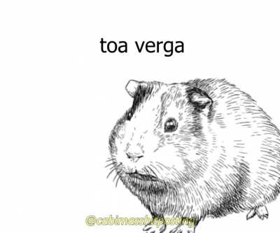 Todos los dias ese guebito con la luz