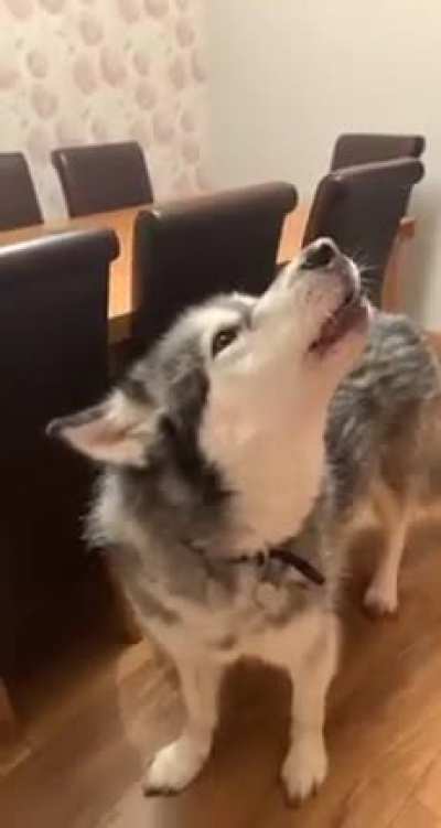 Уберите это чудо с моей кровати
