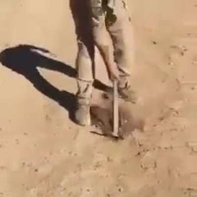 Стальные яйца