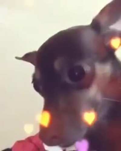 😍😍😍