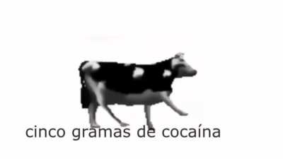 Esta aqui a tradu&ccedil;&atilde;o da musica com a vaca que pula
