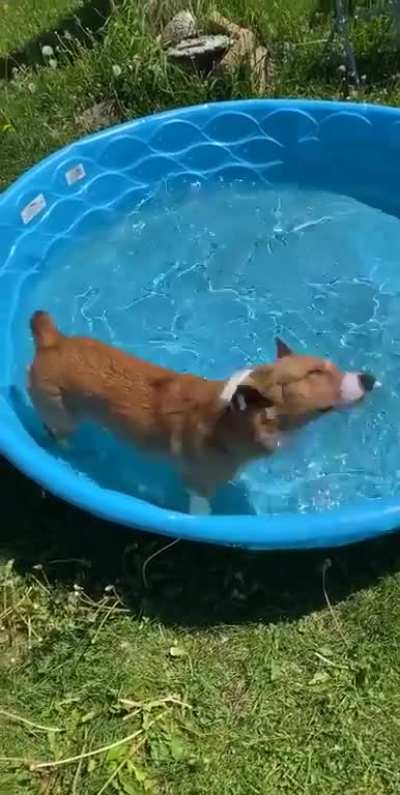 Hydro zoomies