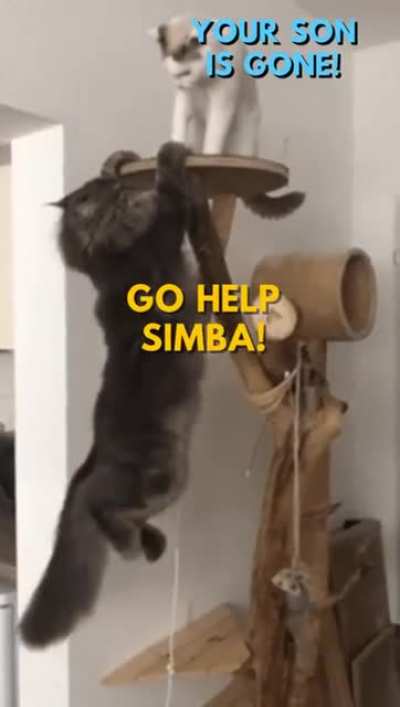 Oh n&atilde;o