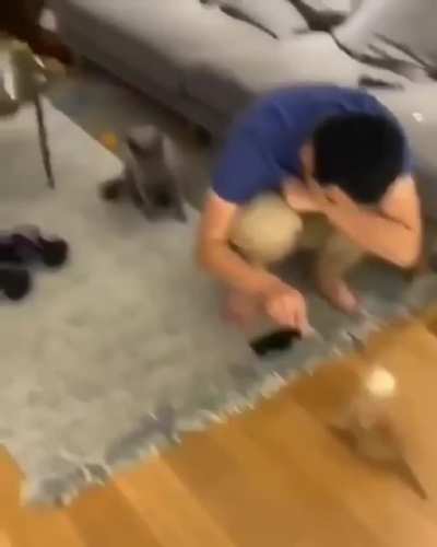 Ok fine, but you&rsquo;re paying for this with no more houseplants