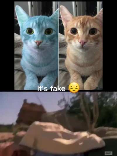 It's fake 😔