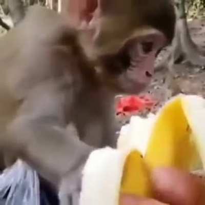 F for banana