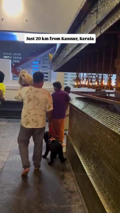 a temple in india where dogs are revered