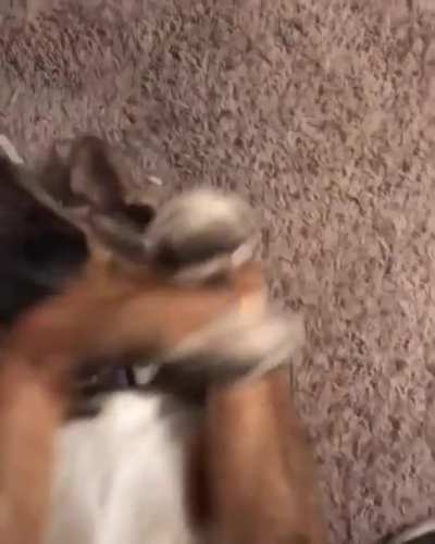 Where did it go?