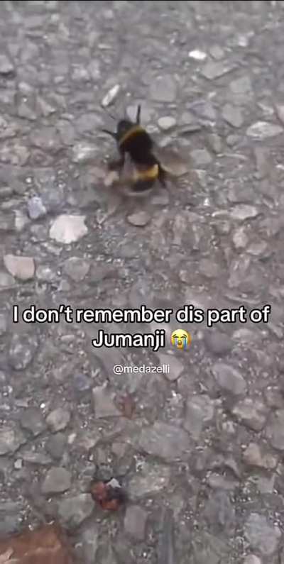 Damn😮