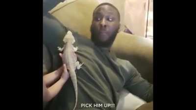 PICK HIM UP!!