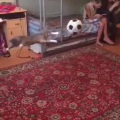 New Soccer Player - Cataldo!