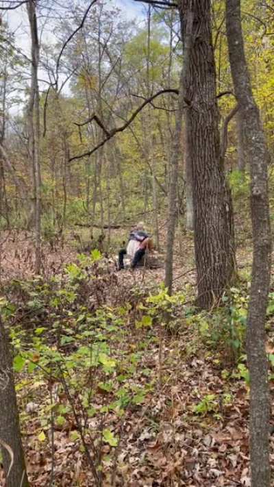 This was supposed to be an innocent walk in the park Les by the sexy u/wanderingwifexxx. We couldn&rsquo;t stop staring at each other and before you knew it, we were doing adult activities in the open.