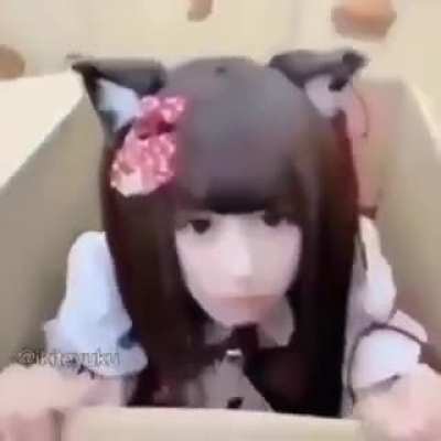 My friend send me this (credit ikiteyuku)