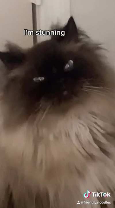 I'm very happy I made this video