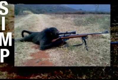monkey quickscopin