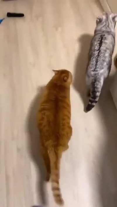 He Schmoovin'