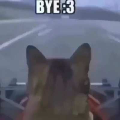:3