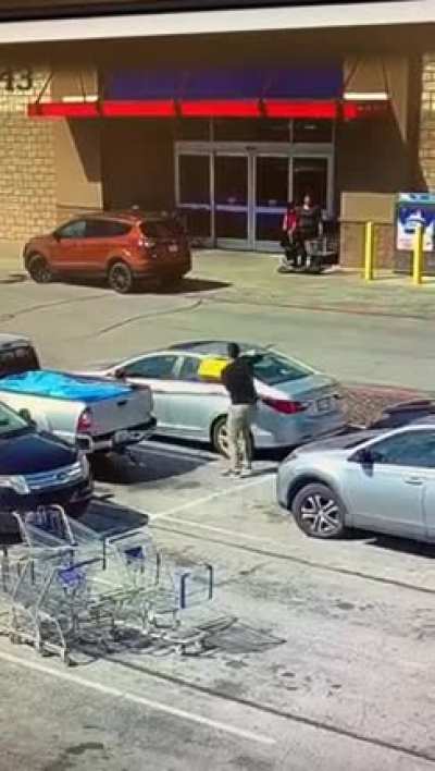 PROFESSIONAL THIEF