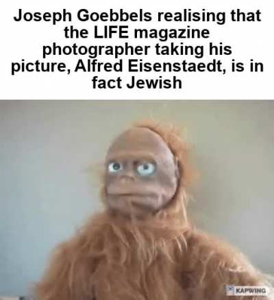 Eisenstaedt himself is quoted as saying "He stared at me with hate in his eyes." A very creepy photograph.