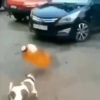 F no chat