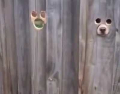 You have a funny feeling like you&rsquo;re being watched.