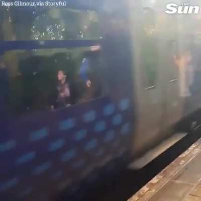Harry Potter fans queue for hours to see Hogwarts Express only for a commuter train to block the view